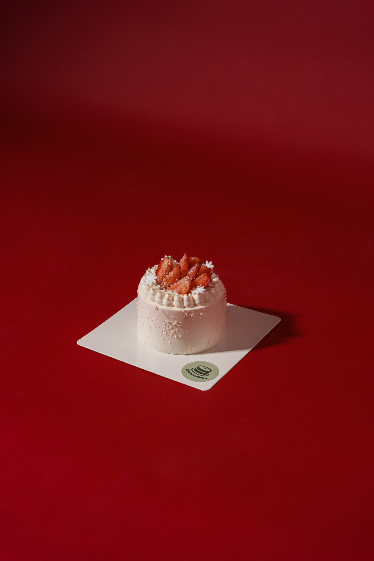 CHANNOCAKE CHRISTMAS VERSION Showcase 3