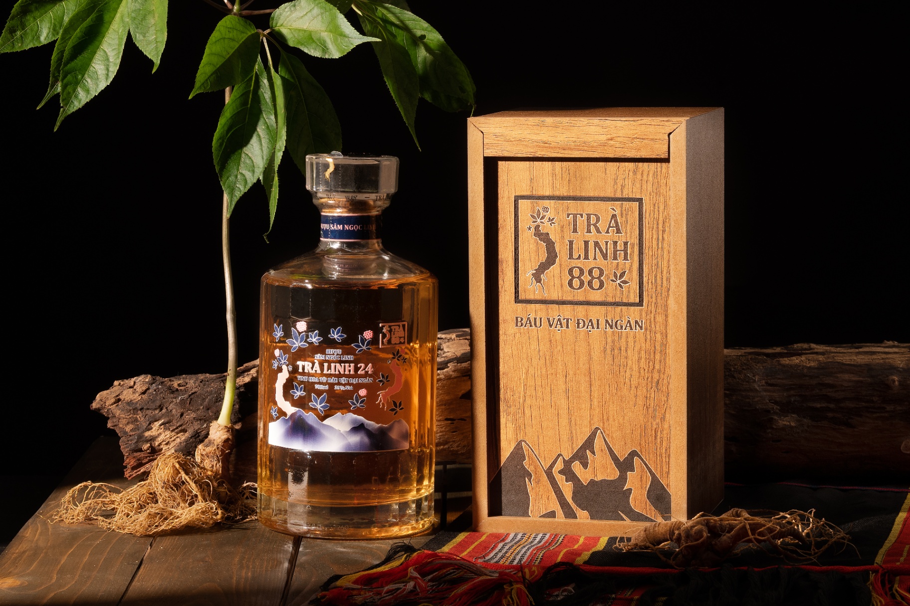 RƯỢU SÂM NGỌC LINH  Showcase 6